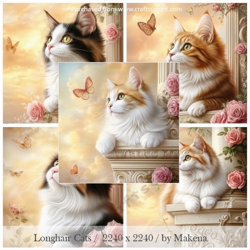 Longhair Cats / Card Fronts