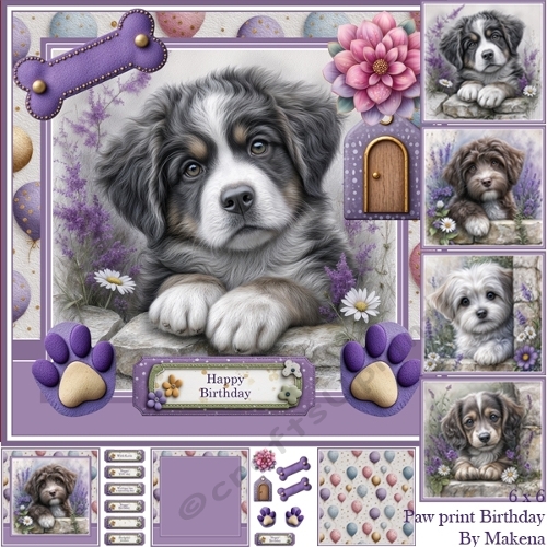 Paw print birthday