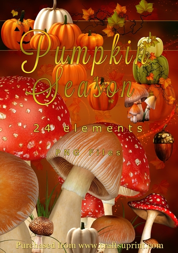Pumpkin Season PNG Elements