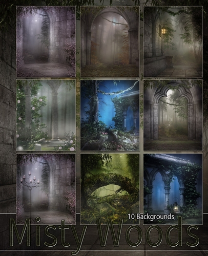 Misty Woods Backgrounds
