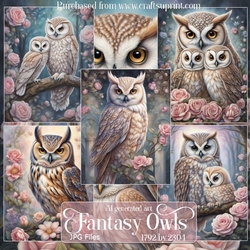 Fantasy Owls 2 backgrounds