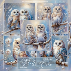 Fluffy Owls