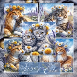 Loving Cats