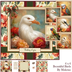 Beautiful Birds