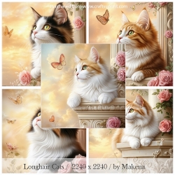 Longhair Cats / Card Fronts