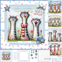 Birthday Funny Cats