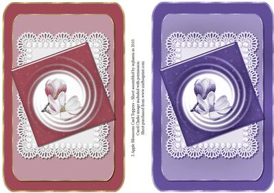 2 Apple Blossom Card Toppers