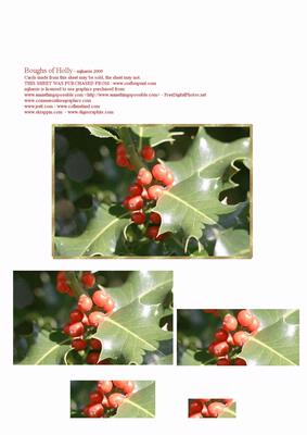 Boughs of Holly