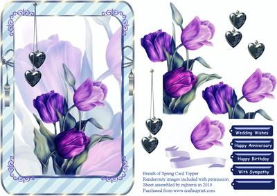 Purple Breath of Spring