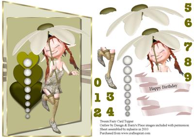 Tween-teen Fairy