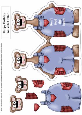 Don't Feed the Bears Male Birthday