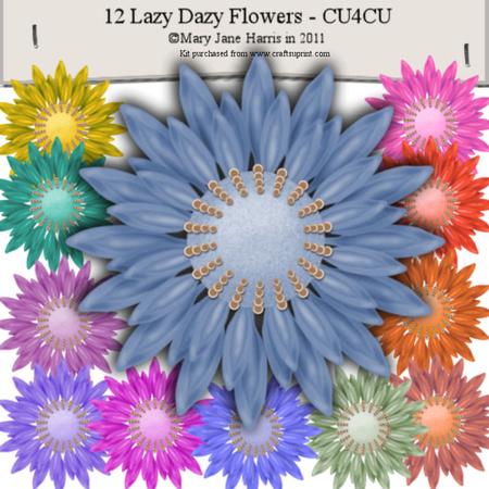 12 Lazy Daisy Flowers - Cu4cu