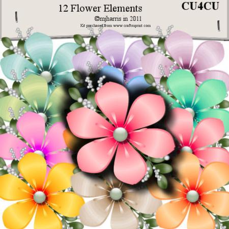 12 Flower Elements Style a - Cu4cu
