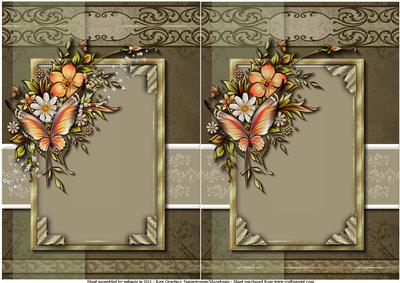 Wings of Beauty Card Fronts