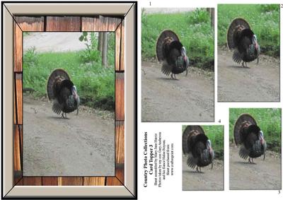 Country Photo Collection Card Topper 3