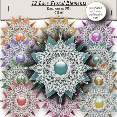 12 Lacy Floral Elements - Cu4cu