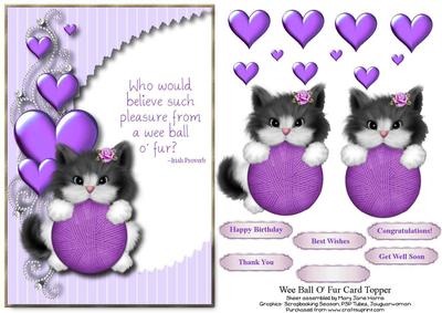 Wee Ball O' Fur Card Topper 1