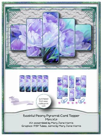 Bashful Peony Pyramid Card Topper Mini Kit 2