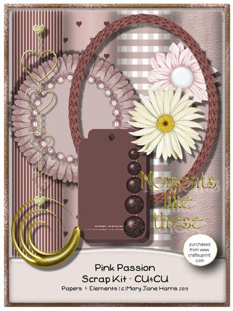 Pink Passion Scrap Kit - Cu4cu
