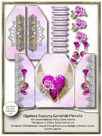 Ageless Beauty Gatefold Mini Kit 2