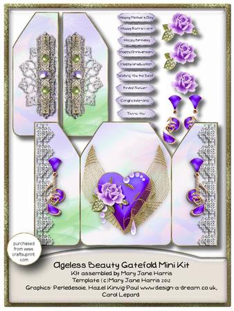 Ageless Beauty Gatefold Mini Kit 3
