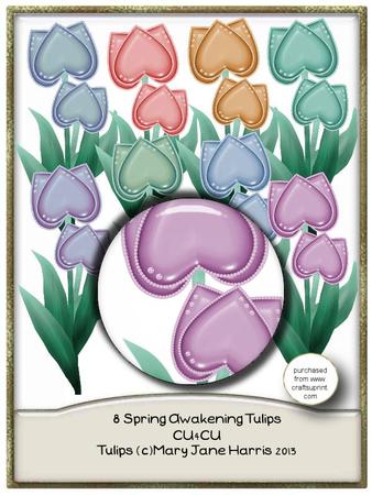 8 Spring Awakening Tulips - Cu4cu