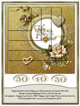 Surprise Party Birthday/anniversary Card Mini Kit 1