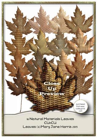16 Natural Material Leaves - Cu4cu