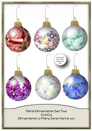 6 Floral Ornaments Set 2 - Cu4cu