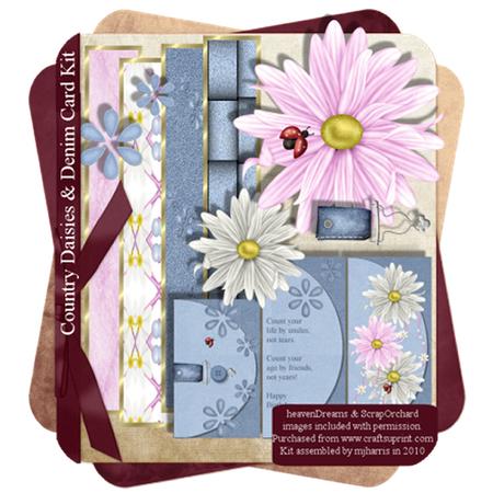 Country Daisies & Denim Card Kit