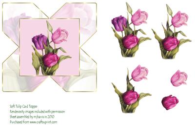 Soft Tulip Card Topper