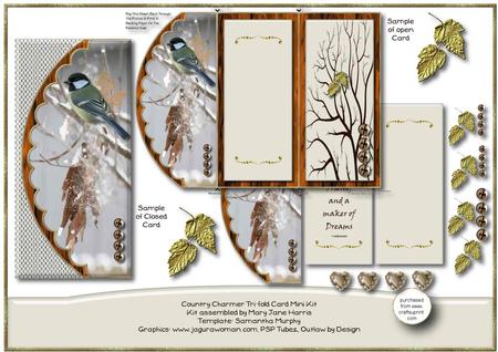 Country Charmer Tri-fold Card Mini Kit