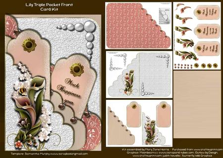 Apricot Nectar Lily Pocket Card Mini Kit