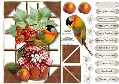 For the Birds Card Topper