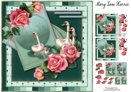 New Baby Swan Mini Kit