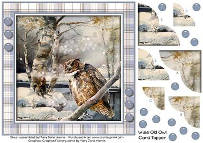 Wise Old Owl Card Topper 1