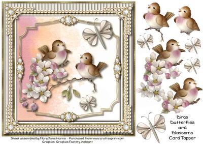 Birds, Butterflies & Blossoms Card Topper