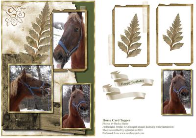 Horse Card Topper