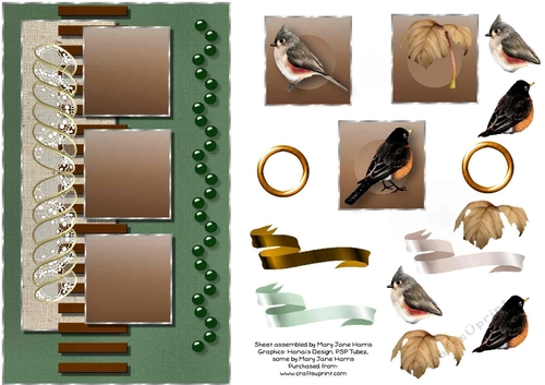 Birds of the Forest Card Topper