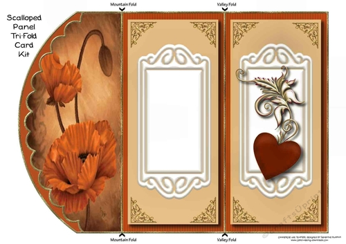 Orange Poppy Tri-Fold Quick Card