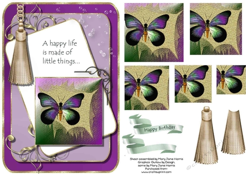 Exotic Butterfly Card Topper 1