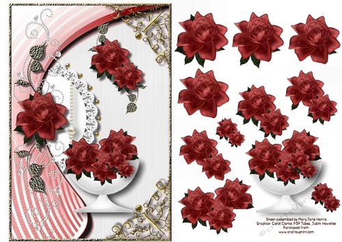 Orange-Red Bowl of Roses