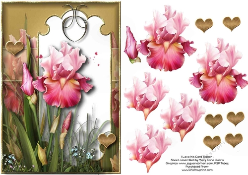 I Love Iris Card TOpper 1
