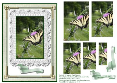 Butterfly Pyramid Card Topper