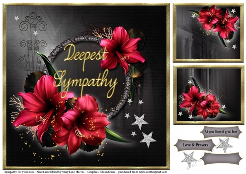 Sympathy for your Loss