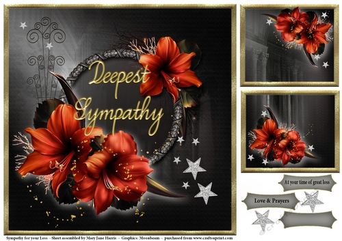 Sympathy for your Loss 2