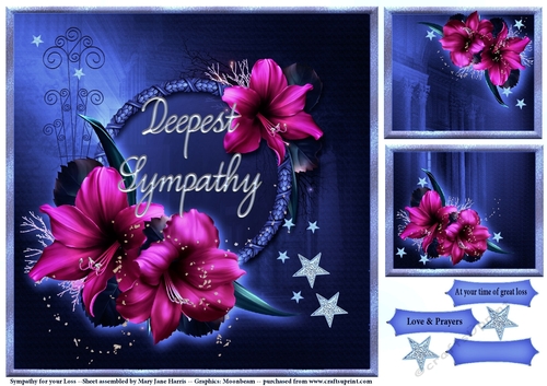 Sympathy for your Loss 3