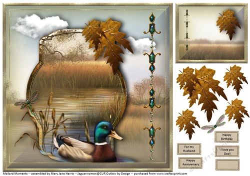 Mallard Moments Card Topper