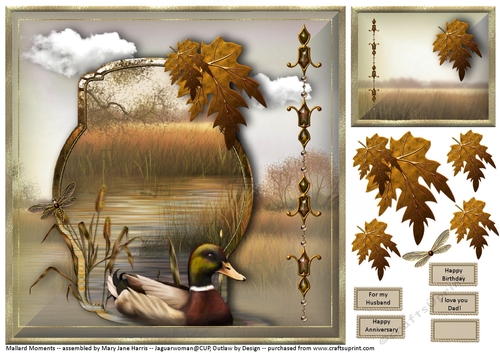Mallard Moments Card Topper 2