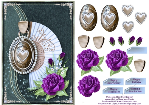 Cameo & Fan Card Topper 2